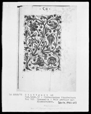 Deutsches Gebetbuch (Waldburg-Gebetbuch) — Feld mit Rankenwerk gefüllt, Folio 103recto
