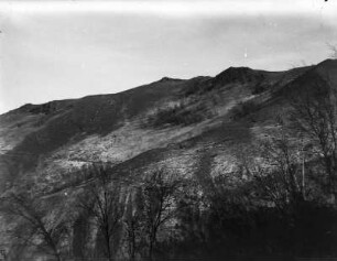 Berghang : Spärliche Vegetation an einem Berghang