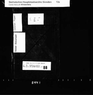 Gerichtshandelsbuch von Schönau (bei Wildenfels), Bd. 8