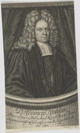 Bildnis des Henricus Muhlius