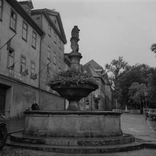 Weimar. Brunnen mit Schildlöwe