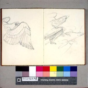 Adler
