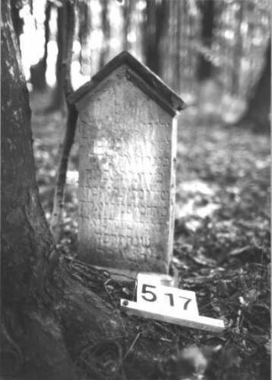 Grabstein 517 (Index: 99900866) Material: Sandstein Zustand: fast völlig verwittert Maße HxBxT: 60x29x14 cm Beschreibung: Stele mit Dreiecksabschluss, Verdachung: Grabstein 517