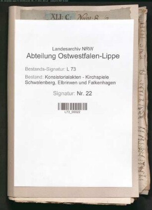 Kircheneinkünfte und -besitzungen, Spezialia