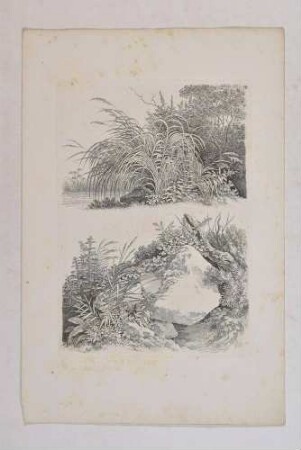 Studienblatt mit Vegetation an einem Gewässer und um einen Felsblock, aus: Gründliche Zeichenschule für Landschafter [..], Heft II: zusammengesetzte Partien