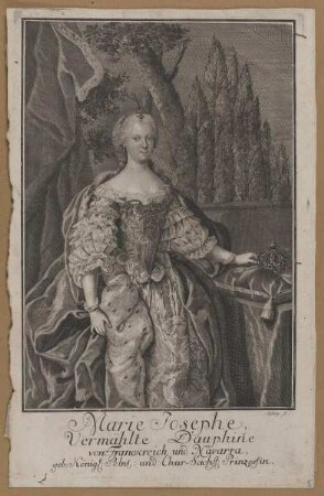 Bildnis der Marie Josephe, Dauphine von Frankreich