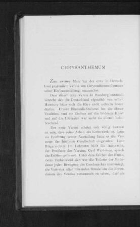 Chrysanthemum