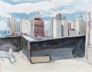 New York, Dachlandschaft [II]