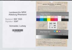 Entnazifizierung Ludwig Schneider , geb. 03.09.1900 (Handelsvertreter)