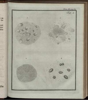 pag. 64. Tab. I.