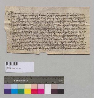 Agnes Neumaier zu Aiterhofen verkauft ihr Erbrecht auf einem von ihrem verstorbenen Mann Stepphel Neumair ererbten Gut zu Aiterhofen an Jorg Pruckner zu Aiterhofen.; S: Abt Johannes von Oberaltaich