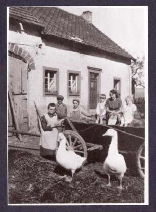 Familie mit Gänsen