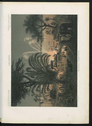 Pl. XV. Laos siamois. Fêtes de Bassac : illumination du fleuve