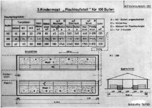 Rindermast "Flachlaufstall" für 100 Bullen