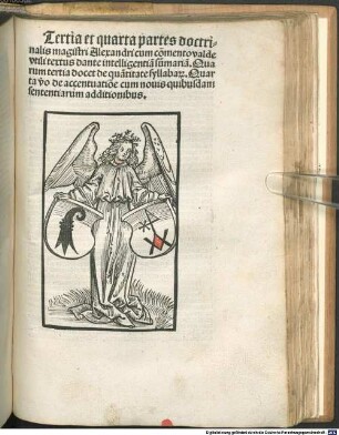 ... pars doctrinalis Alexandri cum sententij : notabilibus et vocabuloru[m] lucida expositione: no[n]nullis annexis argume[n]tis cu[m] eorundem replicis: ad nouellor[um] in gra[m]matica incipientiu[m] profectum ..., 3/4
