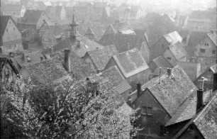 Zwingenberg: Blick vom Kirchplatz auf Dächer und Blüten