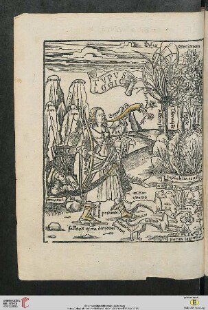Libri Secundi: de principiis Logices