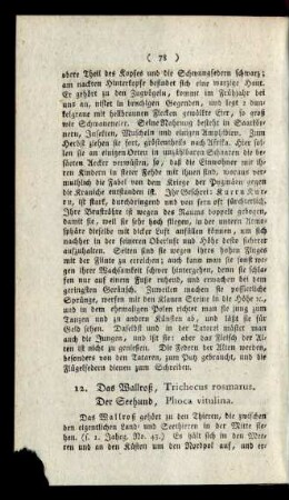 12. Das Wallroß, Trichecus rosmarus. Der Seehund, Phoca vitulina.