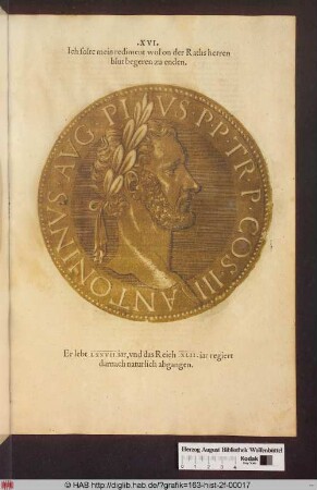 Titus Aelius Hadrianus Antoninus.