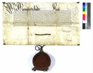 Kaiser Maximilian II. verhilft dem Grafen Ulrich zu Helfenstein, Freiherrn zu Gundelfingen, den Bann über das Blut zu richten in seiner Herrschaft und beim Schloß Hiltenburg, im Städtlein Wiesensteig und im Markt Deggingen.