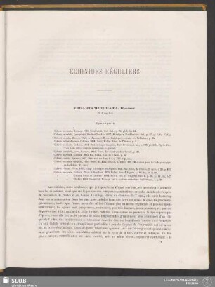 Échinides Réguliers