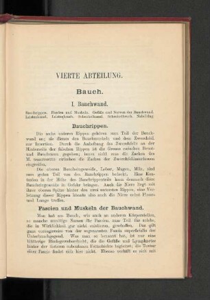 Vierte Abteilung. Bauch.