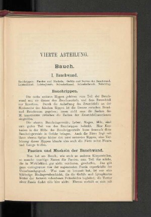 Vierte Abteilung. Bauch.
