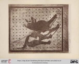 Cave Canem: mosaïque: maison Poêt tragique