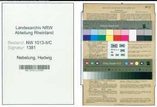 Entnazifizierung Hedwig Nebelung , geb. 13.01.1907 ()