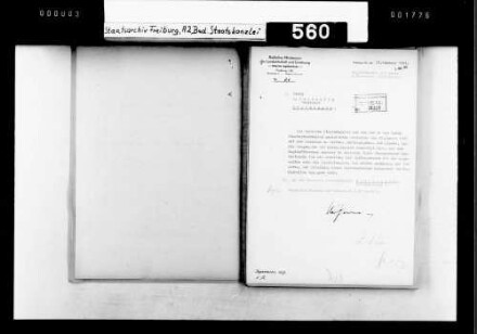 Antrag des Fabrikanten E. Tscheulin, Köndringen, auf Erteilung eines Jagdwaffenscheins