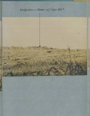 Foto feindlicher Anlagen südwestlich des "Ulanenwäldchens", Teil 6 (Rundbild)