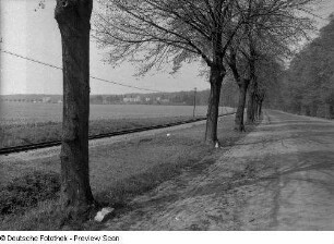 Chaussee und Kleinbahnstrecke Bad Doberan - Heiligendamm am Großen Wohld. Blick nach Westen