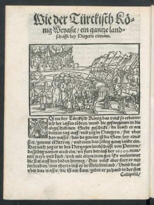Wie der Türckisch König Weyasit/ ein gantze landschafft bey Hugern einnam.