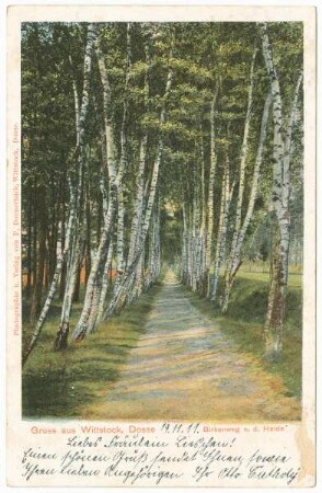 Gruss aus Wittstock, Dosse Birkenweg n.d. Heide