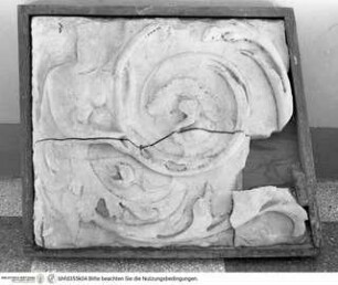 Fragmente einer Marmor(?)-Dekoration mit florealen, vegetabilen und Grotesken-Motiven, Harpye mit Akanthus-Blatt