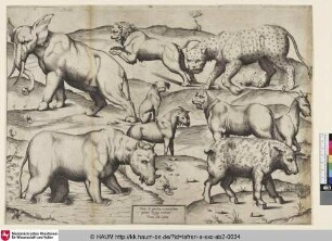 Tabula II animalium ex uetustissimis picturis Romae