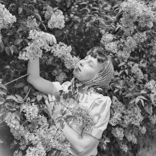 Elisabeth Gremmler riecht an einem Fliederstrauch
