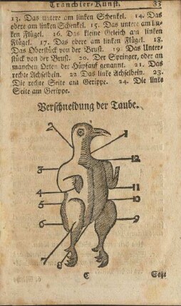 Beschneidung der Taube.