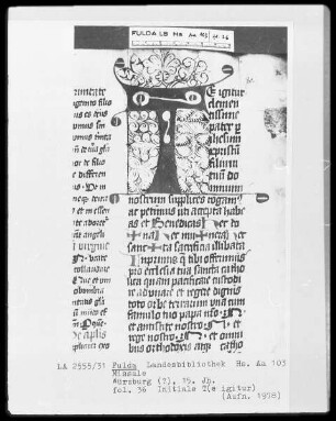 Missale — T (e igitur), Folio 36 recto
