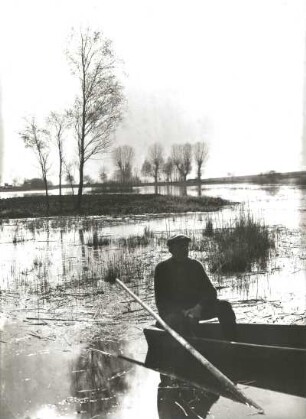 Lausitzer Niederung. Teichbild mit Fischer
