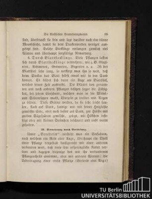 38. Vermehrung durch Veredelung.