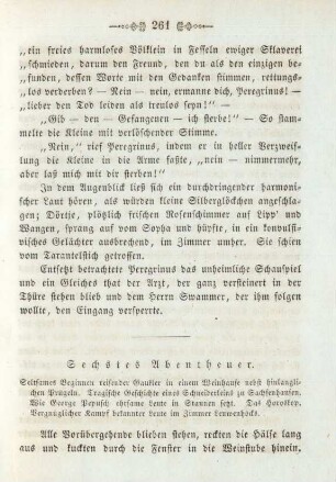 Sechstes Abentheuer