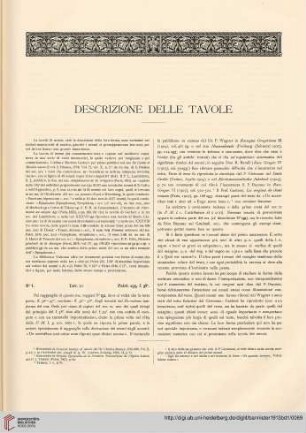Descrizione delle Tavole