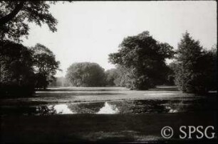 Branitz, Park.