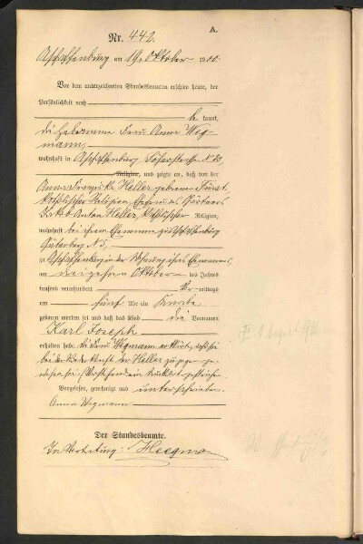 Standesamtsbuch der Stadt Aschaffenburg: Geburten 365/1900 - 184/1901