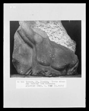 Torso eines den rechten Arm hebenden Athleten