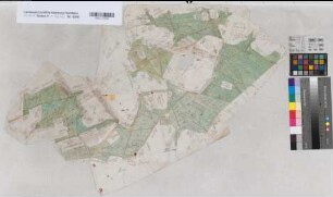 Hesselteich (Versmold) Teilung der Strodt-, Sandstrodt-, Antpols-, Schul- und Bosheide Entwurf um 1780 o.M. unregelmäßig kol. Zeichnung Reinhold Spez.Verz. Markenkarten X Nr. 132a