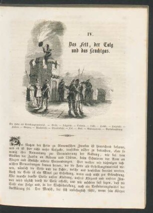 IV. Das Fett, der Talg und das Leuchtgas.