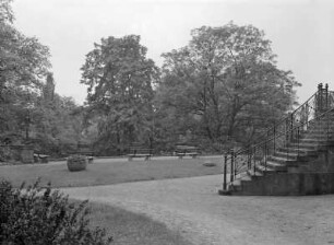 Wachwitz. Rhododendron- Lehr- und Schaugarten. Park beim Bezirkskainett für die Weiterbildung der Lehrer und Erzieher : Dresden-Wachwitz. Rhododendron- Lehr- und Schaugarten (1971 angelegt). Parkpartie mit Terrasse und Treppenaufgang der königlichen Villa von Kronprinz Friedrich August III.