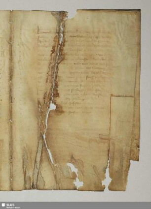 [Niederschrift von Streitigkeiten mit dem Erfurter Geleitsmann über Abgaben]